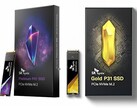 SK hynix Platinum P41 and Gold P31 SSDs (Source: SK hynix)