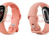 The Google Fitbit Edge