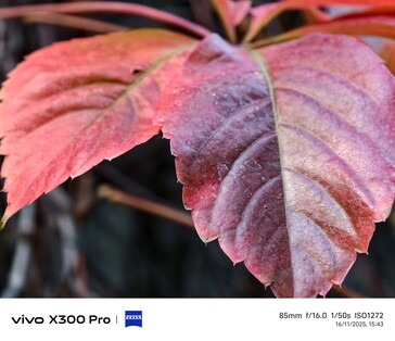 Vivo X300 Pro: Photo sample