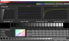 CalMAN Grayscale (target color space P3)