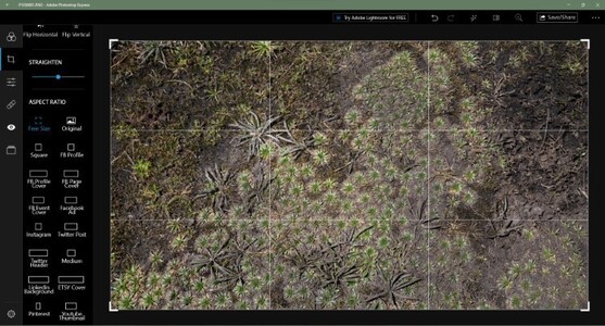 The basic UI and built-in templates of Photoshop Express make it clear this is intended mostly for social media posts. (Image source: author)