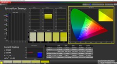 CalMAN Saturation (calibrated)