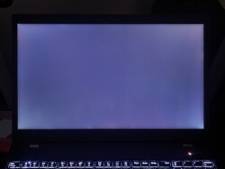 Moderate backlight bleeding (amplified here)