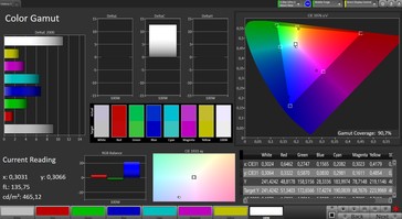 CalMAN: Colour Space – Standard profile, sRGB target colour space