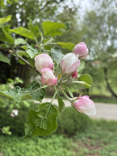 Photo taken using main camera