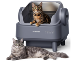 Open top cat box