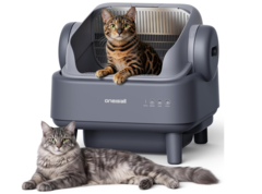Open top cat box