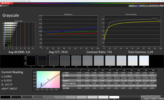 Grayscale (color temperature: max. warm, target color space: DCI-P3)