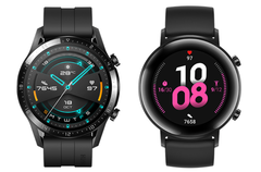 The Huawei Watch GT 2 currently costs from £159.99 (US$199). (Image source: Huawei)