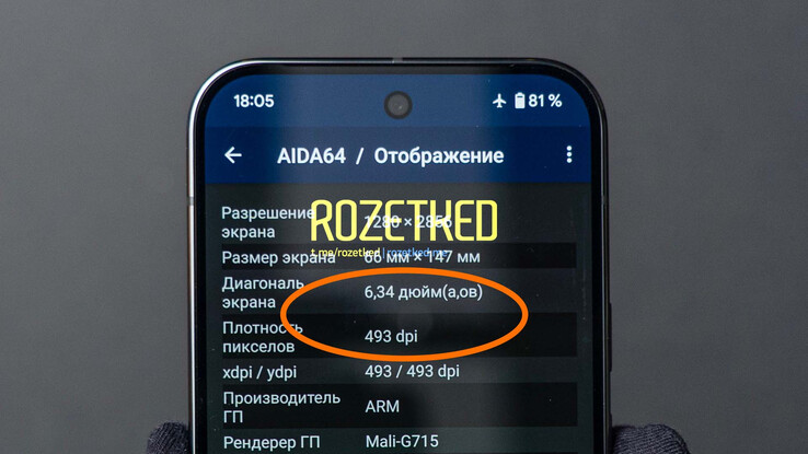 Pixel 9 Pro.（图片来源：Rozetked）