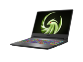 The new Alpha lineup includes 17-inch models with 144 Hz IPS FHD displays. (Image Source: MSI)