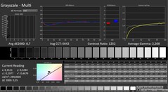 CalMAN: Grayscale (calibrated)