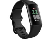 Google is expanding the range of functions of Fitbit wearables (Image source: Fitbit/Google)