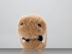 Dieter (Image source: ZKM Karlsruhe)