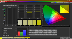 CalMAN - Saturation (calibrated)