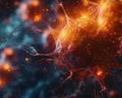 The process of actin degradation involves a precise interplay between three proteins, which the researchers describe as a “molecular dance”. (Image source: TyliJura via Pexels)