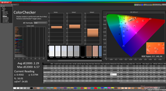 ColorChecker (vs. sRGB)