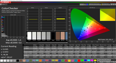 CalMAN - ColorChecker (target color space: sRGB)