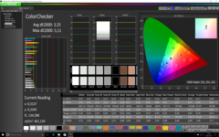 CalMAN ColorChecker