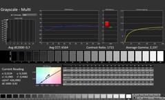 CalMAN: Grayscale (calibrated)