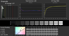 CalMAN - Grayscale (after calibration)