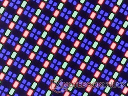 Glossy OLED with no major graininess issues