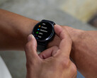 Software Version 11.16 start out as a public beta update. (Image source: Garmin)