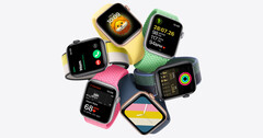 The Watch SE. (Source: Apple)