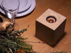 The JVCKenwood WDS-01 wireless speaker uses wood for the cabinet and driver. (Image source: JVCKenwood)