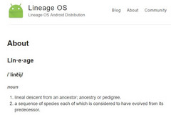 The name Lineage describes the plans of the former CyanogenMod developers.