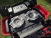 Dual-blade mower with twelve blades