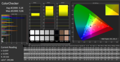 CalMAN: ColorChecker (calibrated)