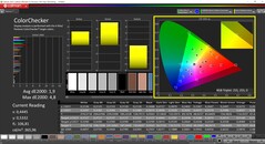 CalMAN ColorChecker calibrated (target color space P3)