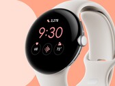 The Pixel Watch is on the way. (Source: Google)