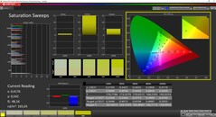 CalMAN Colorchecker Saturation