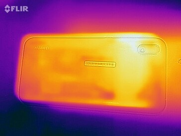 Heatmap - back