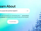 Learn About got a limited rollout in the US (Image Source: Google)