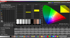 CalMAN ColorChecker (target color space P3)