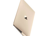 There is no concrete evidence to suggest that a new 12-inch MacBook is in development yet. (Image source: Apple)