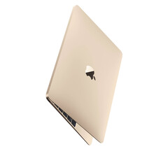 There is no concrete evidence to suggest that a new 12-inch MacBook is in development yet. (Image source: Apple)