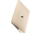 There is no concrete evidence to suggest that a new 12-inch MacBook is in development yet. (Image source: Apple)