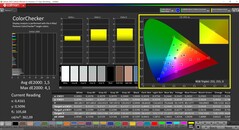 CalMAN ColorChecker (profile: sRGB, target color space: sRGB)