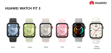 Color options (Image source: Huawei)