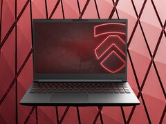 The Eluktronics RP-15 G2 is moderately heavy at 2.25 kg (4.97 lbs). (Image source: Eluktronics, Unsplash, edited)