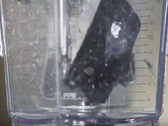 iPhone in a blender - battery not included. (Source: YouTube/University of Plymouth)