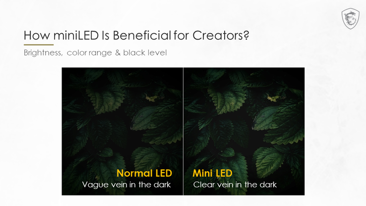 Mini-LED local dimming helps resolve leaf veins in the dark areas. (Image Source: MSI)