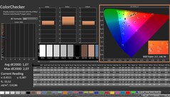 CalMAN: ColorChecker (calibrated)