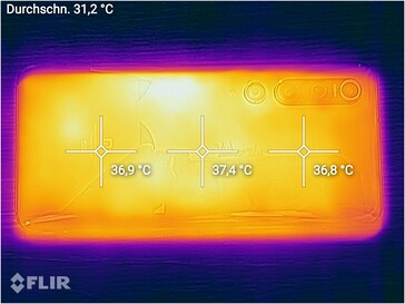 Heat map - back