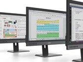 The Paperlike Color Revolutionary is a fast E Ink monitor. (Image source: Dasung)