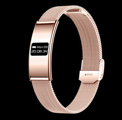 (Image source: Rogbid)